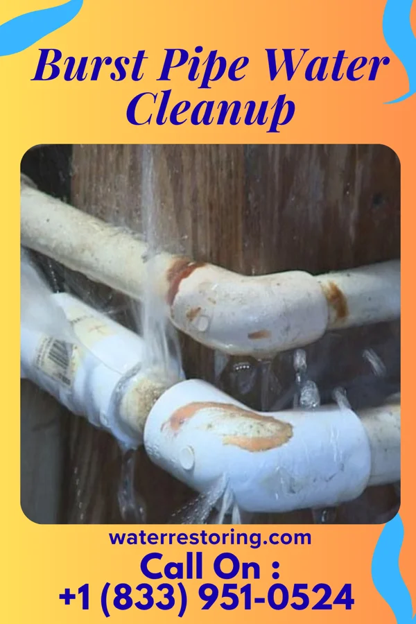Burst Pipe Water Cleanup in Dublin, CA