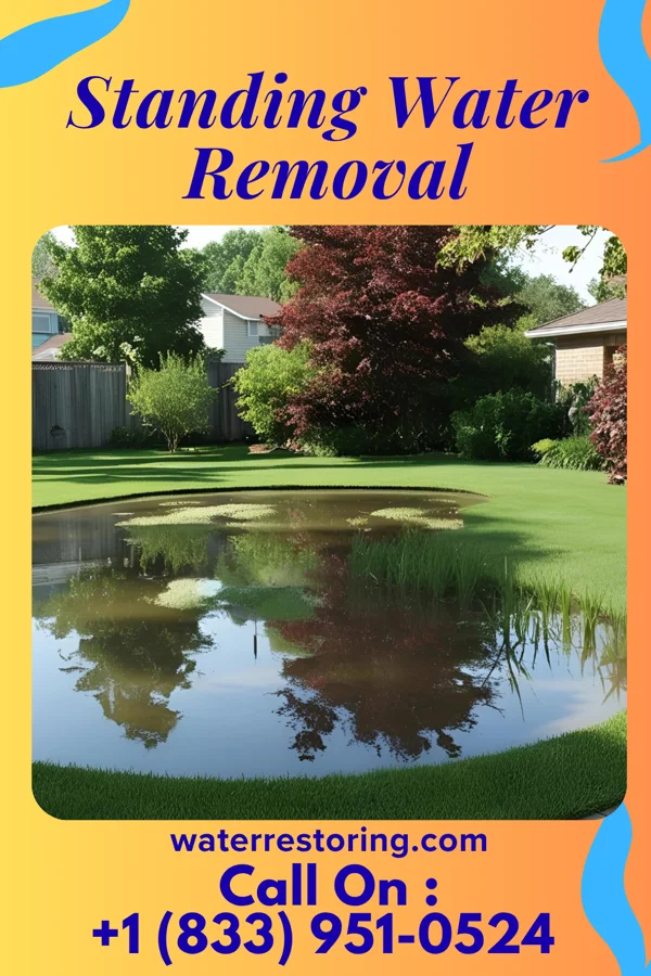 Standing Water Removal in Dublin, CA